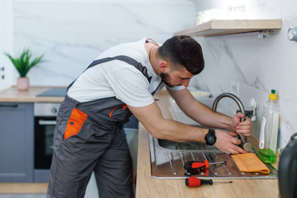 Best Drain Cleaning Services  in De Motte, IN