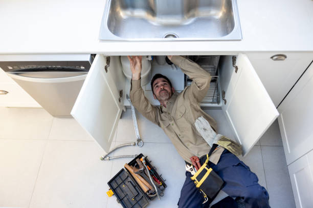 Best Residential Plumbing Services  in De Motte, IN