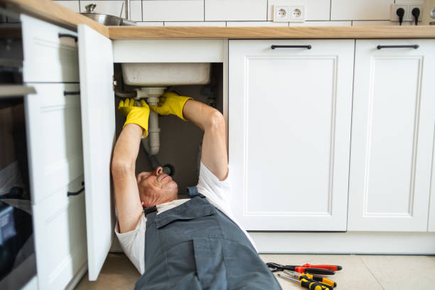 Best Sewer Cleaning Services  in De Motte, IN