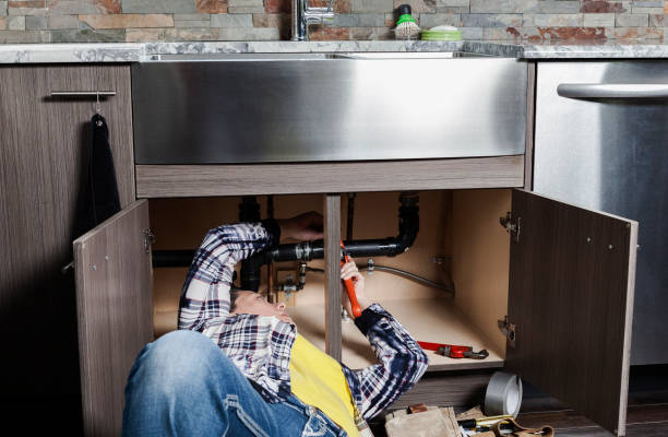 Best Local Plumber Services  in De Motte, IN