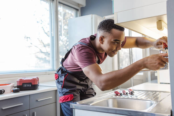 Best Plumbing Services Near Me  in De Motte, IN